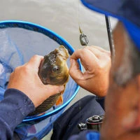 Preston Innovations ICM Method Feeders